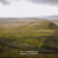 BREATH of FRESH AIR (feat. FLOURYSH) - Single - ceecide