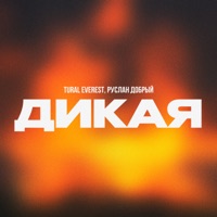 Дикая - Single - TURAL EVEREST & Руслан Добрый