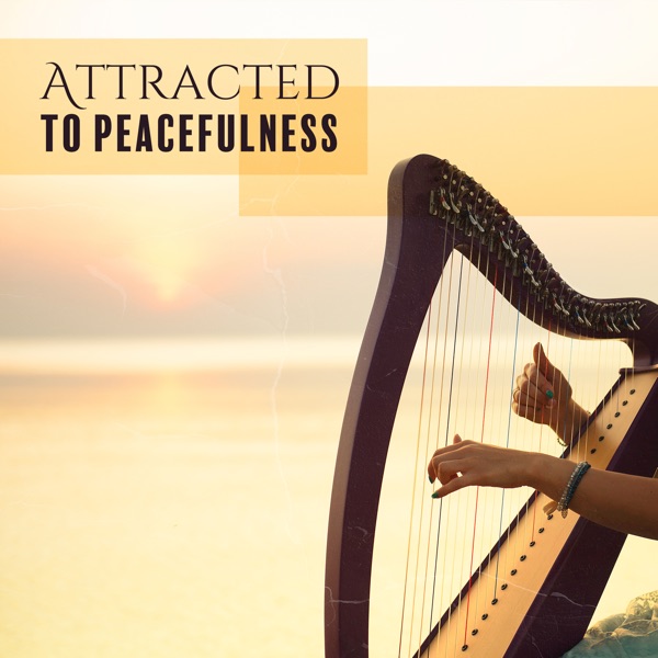 Attracted to Peacefulness