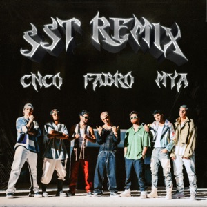 Suelta, Sola y Tranquila (REMIX)