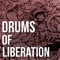 Drums of Liberation - TheManBeHisLa lyrics
