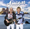 Amigos - Hitmix 2022