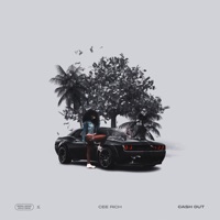 Cash Out (feat. TLz) - Single - CeeRich