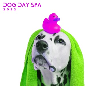 Dog Day Spa 2022 – In Pet Salon, Relaxing Healing Music 4 your Dog, Pet Care Music Therapy