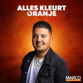 Alles Kleurt Oranje artwork