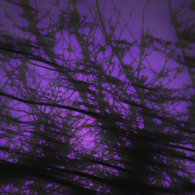 Stars Take The Night - Single