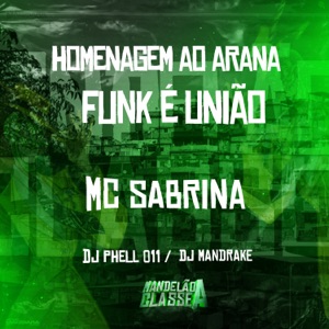 Homenagem ao Arana - Funk É União