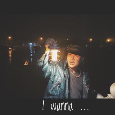 I Wanna - Single