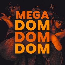 Mega Dom Dom Dom (feat. Mc Pedrinho) DJ SD 061