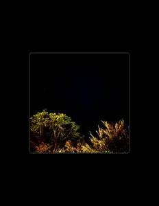 Posłuchaj wykonawcy ohwen, obejrzyj teledyski, przeczytaj biografię, zobacz daty tras koncertowych i nie tylko!