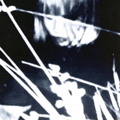 Without You - Single