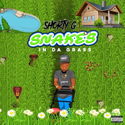 Snakes In Da Grass - Single