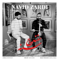 Sna (Sanandaj) - Single - Navid Zardi