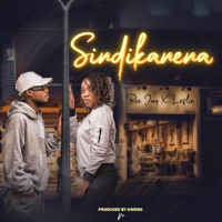 Sindikanena (feat. Leslie) - Single - Bee Jay
