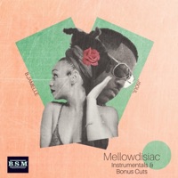 Mellowdisiac Instrumentals & Bonus Cuts (Instrumental) - Jsoul