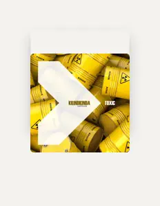 Ouve kkindkinda, vê vídeos de música, lê a biografia, vê as datas da digressão e muito mais!