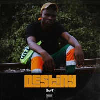 Destiny - Single - SovT Music