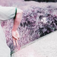 Dub - Single - Pulp Cruz