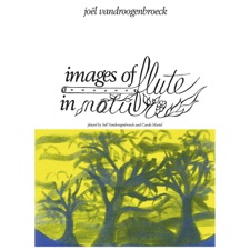 Joel Vandroogenbroeck - Electronic Jungle