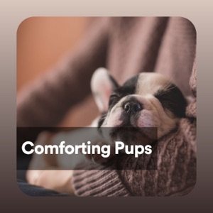 Comforting Pups