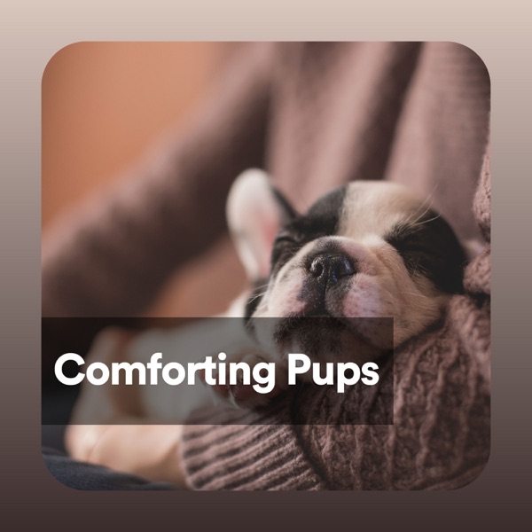 Comforting Pups