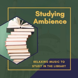 Studying Ambience - Relaxing Music to Study in the Library