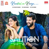 Kaadhal En Kaviye (From "Salmon 3D") artwork