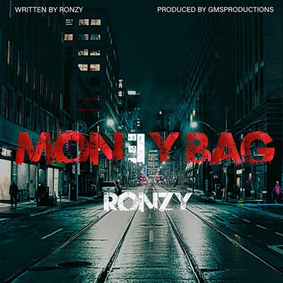 Money Bag - Single