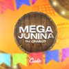 Mega Junina De Bh (feat. MC Fabinho da Osk, MC Mr Bim & Mc Rkostta) - Single