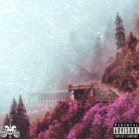 Die Alone - Single - Wxldcxrd