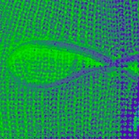 RADAR - Single - Yaastimo