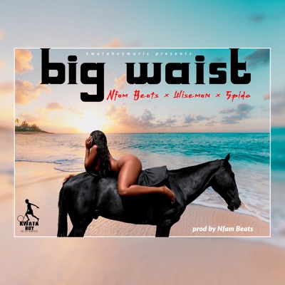 Big Waist (feat. Nfam Beats x Wiseman) - Single