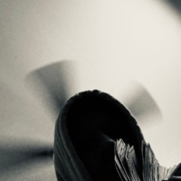 Emotionally Scarred - Single - Dineaux