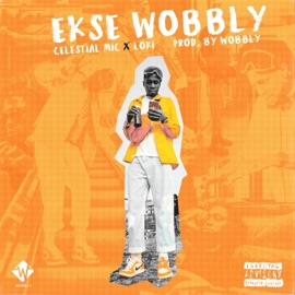 Ekse Wobbly (feat. Celestial Mic & Loki SA) DJ Wobbly