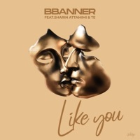 Like You (feat. Sharin Attamimi & Te) - Single - Bbanner