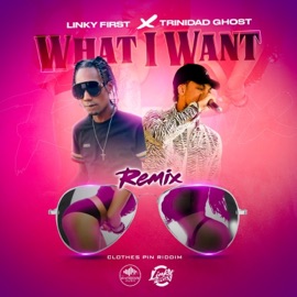 What I Want (feat. Linky First & Trinidad Ghost) [Remix] Synthdicate Music