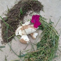 Desire (feat. Luxsuii) - Single - Galli