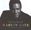 Got To Give It Up (Pt. 1) - Marvin Gaye