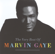 I Heard It Through The Grapevine (Single Version) - Marvin Gaye