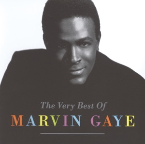 I Heard It Through The Grapevine (Single Version)