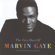 The Very Best Of Marvin Gaye - Marvin Gaye