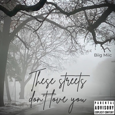 These Streets Dont Love You (Explicit Version) - Single