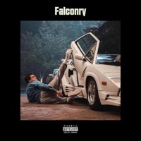 Falconry - Velour Falcons