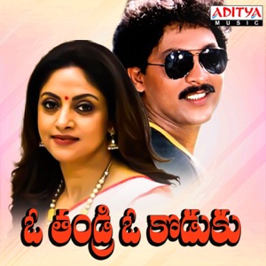 O Thandri O Koduku (Original Motion Picture Soundtrack) - EP