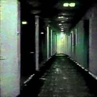 Anomaly Gallery - Cat Soup