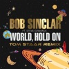 World, Hold On (Children Of The Sky) [Tom Staar Remix] cover art