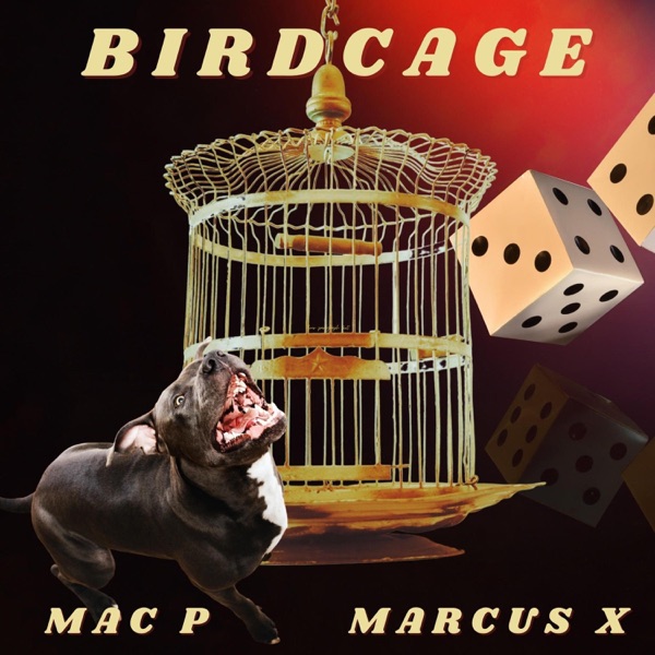 Birdcage