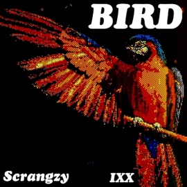 Bird (feat. Scrangzy) iXX