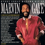 Marvin Gaye & Tammi Terrell - If I Could Build My Whole World Around You