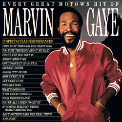 Every Great Motown Hit of Marvin Gaye - Marvin Gaye Cover Art